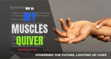 Muscle Quivering: What Your Body Is Trying to Tell You