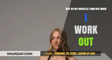 Why Muscles Turn Red During Workouts: Science Behind the Flush