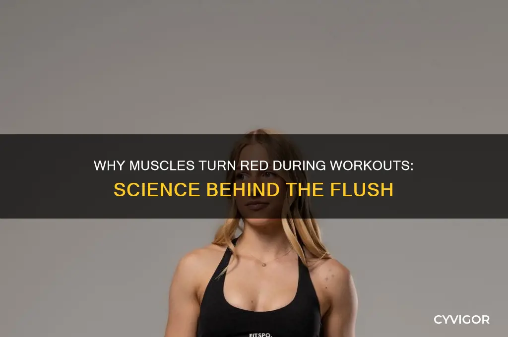 why do my muscles turn red when i work out