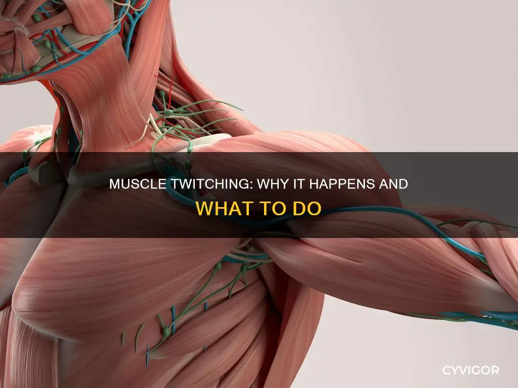 why do my muscles twotch