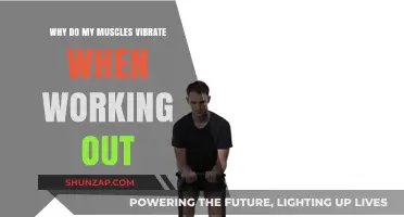 Muscle Vibrations During Workouts: Causes and What They Mean
