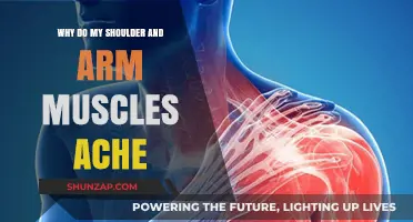 Why Shoulder and Arm Muscles Ache: Causes and Relief Tips