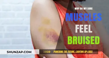 Why Sore Muscles Feel Bruised: Understanding Delayed Onset Muscle Soreness