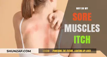 Why Sore Muscles Itch: Understanding Post-Workout Itching Causes