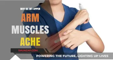 Upper Arm Muscle Pain: Causes, Remedies, and Prevention Tips