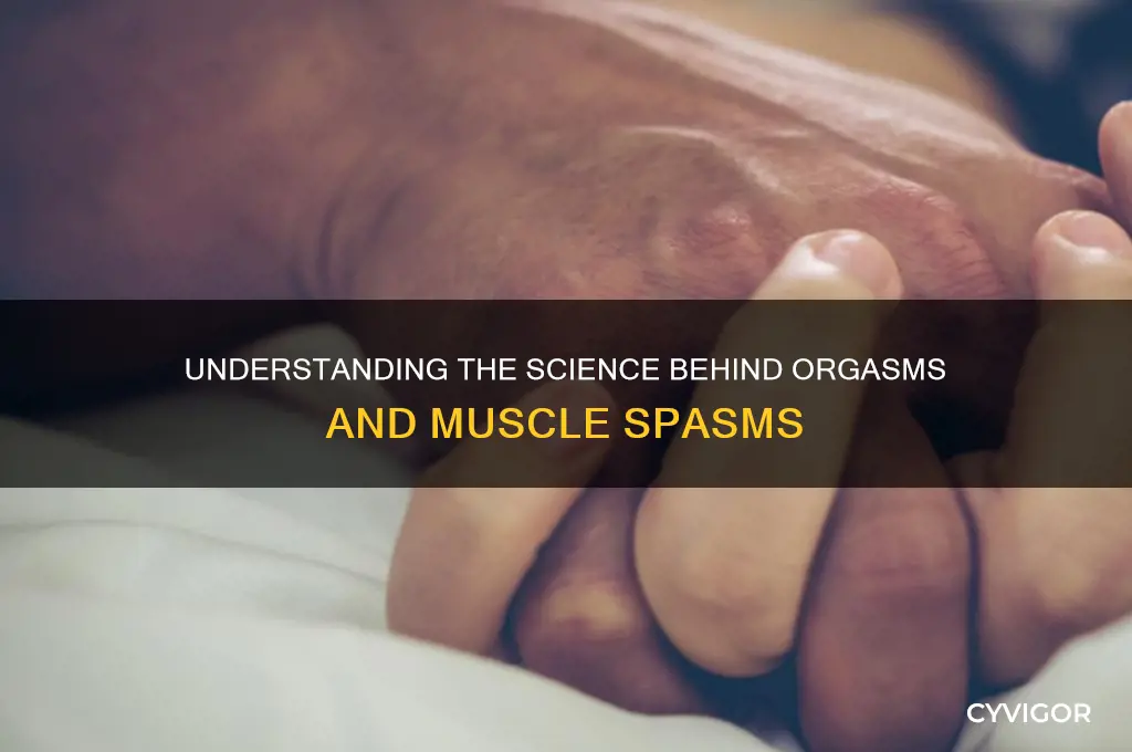 why do orgasms cause muscle spasms
