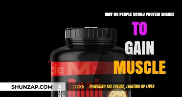 Fuel Your Gains: The Science Behind Protein Shakes for Muscle Growth