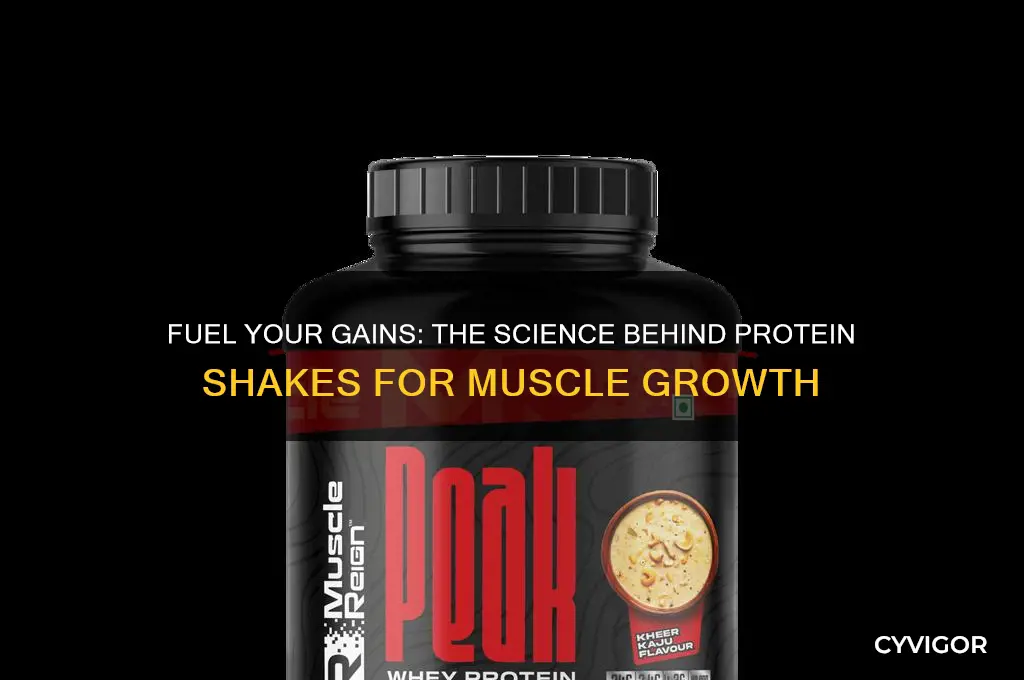 why do people drunj protein shakes to gain muscle