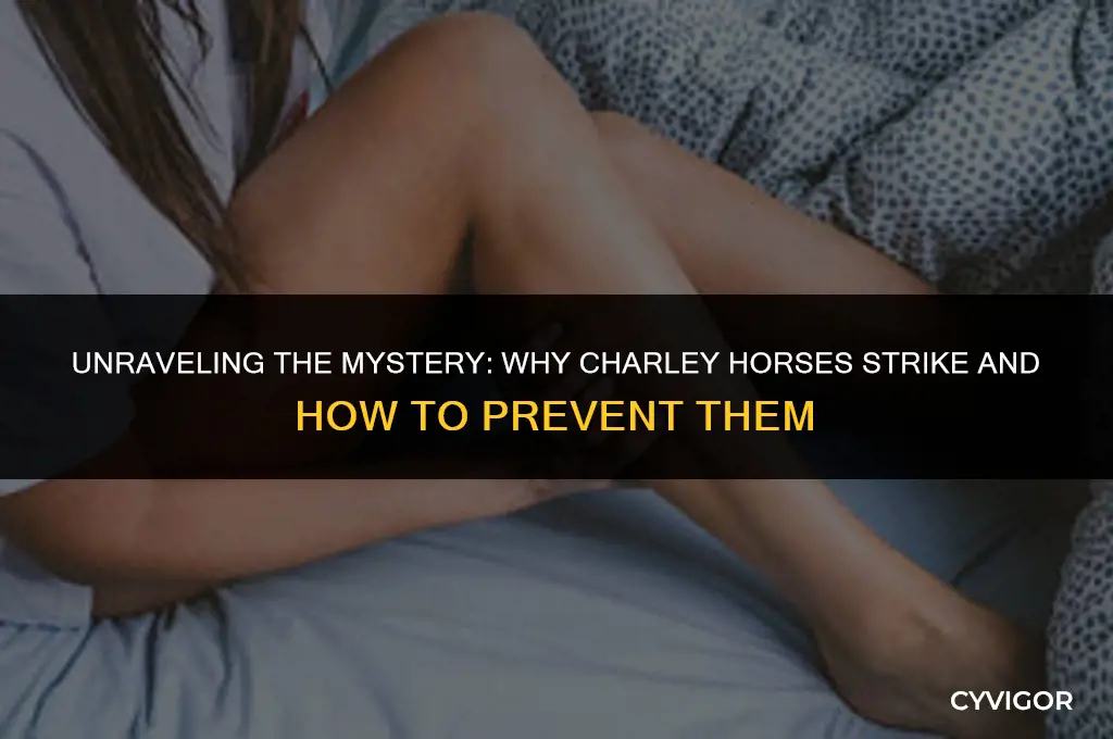 why do people get charley horses