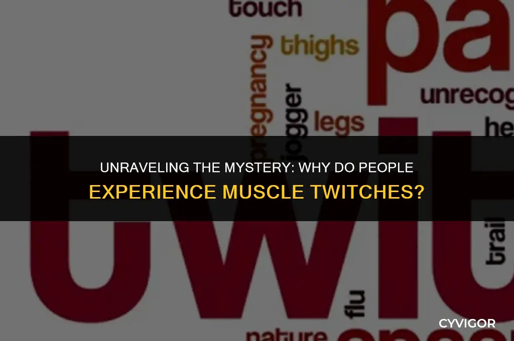 why do people get muscle twitches