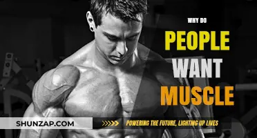 Building Muscles: A Symbol of Strength and Power