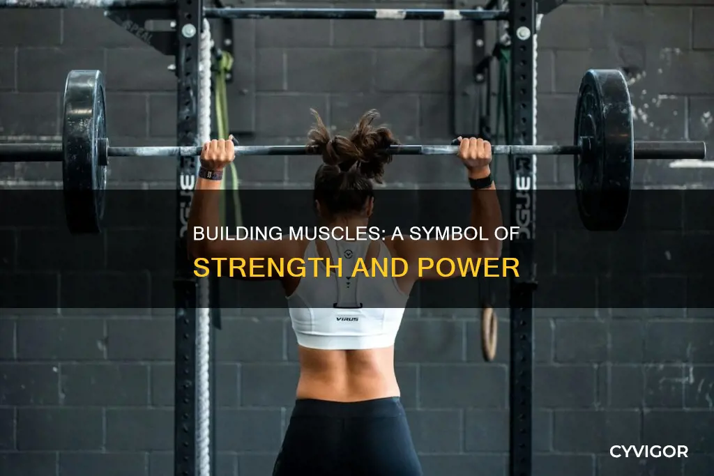 why do people want muscle
