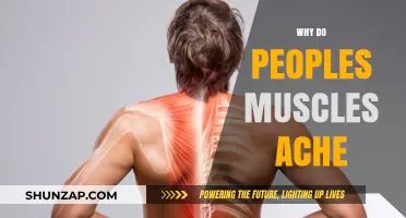 Understanding Muscle Aches: Causes and Remedies
