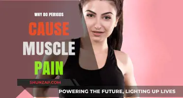 Understanding Menstrual Muscle Pain: Causes, Relief, and Self-Care Tips