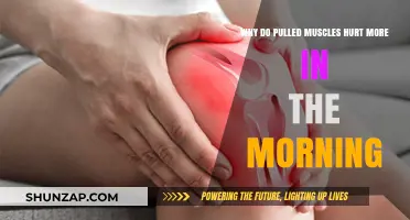 Morning Muscle Pain: Why Pulled Muscles Ache Worse After Sleep