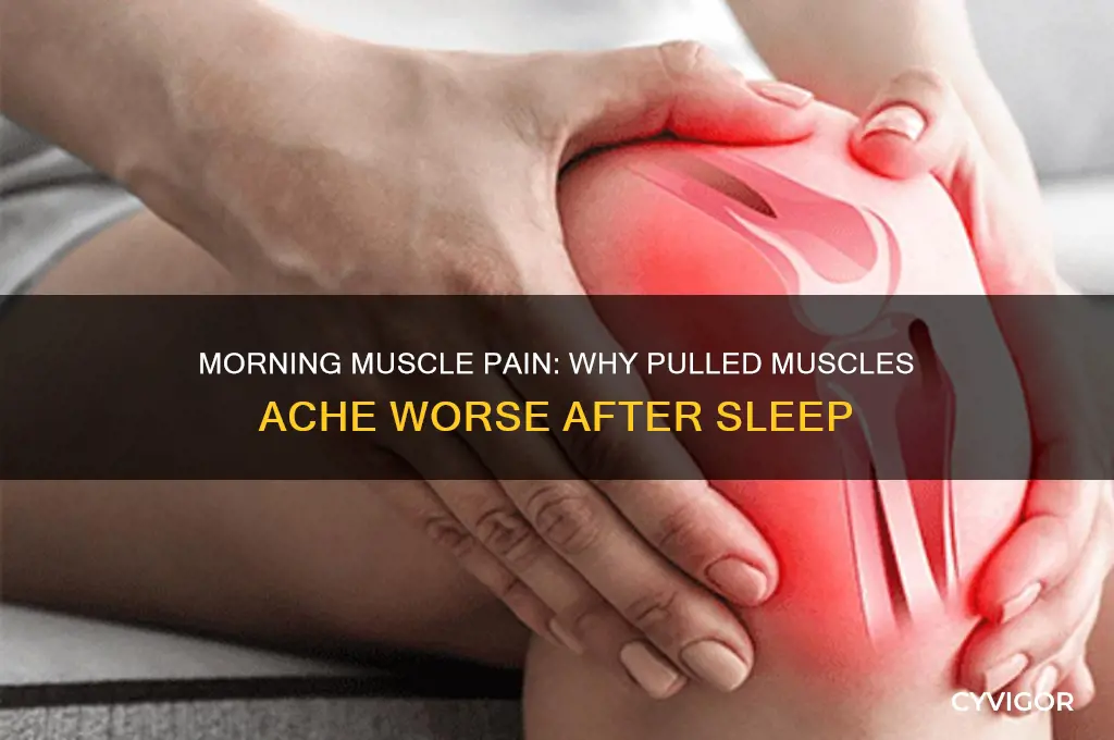 why do pulled muscles hurt more in the morning