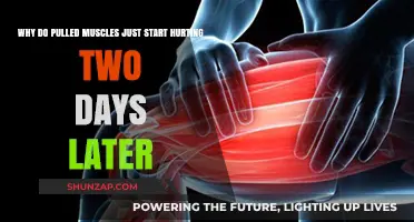 Why Pulled Muscles Often Hurt More Two Days Later: Explained
