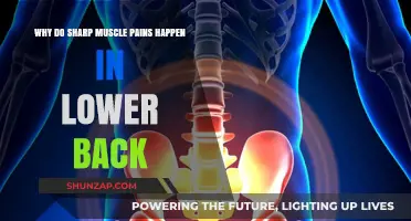 Understanding Sharp Lower Back Muscle Pains: Causes and Relief Tips