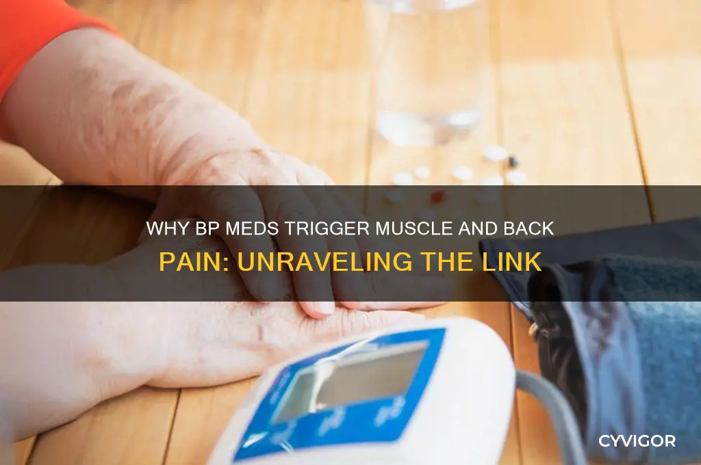 why do some bp meds cause muscle and back pain
