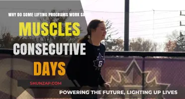 Consecutive Day Muscle Training: Why Some Lifting Programs Repeat