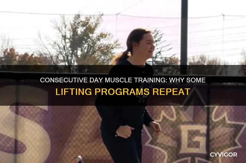 why do some lifting programs work same muscles consecutive days