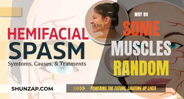 Understanding the Mystery of Muscle Twitching