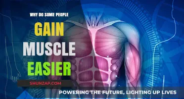 Genetics, Hormones, and Habits: Unlocking the Secrets of Easy Muscle Gain