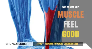 Why Sore Calf Muscles Feel Surprisingly Good: Exploring the Science
