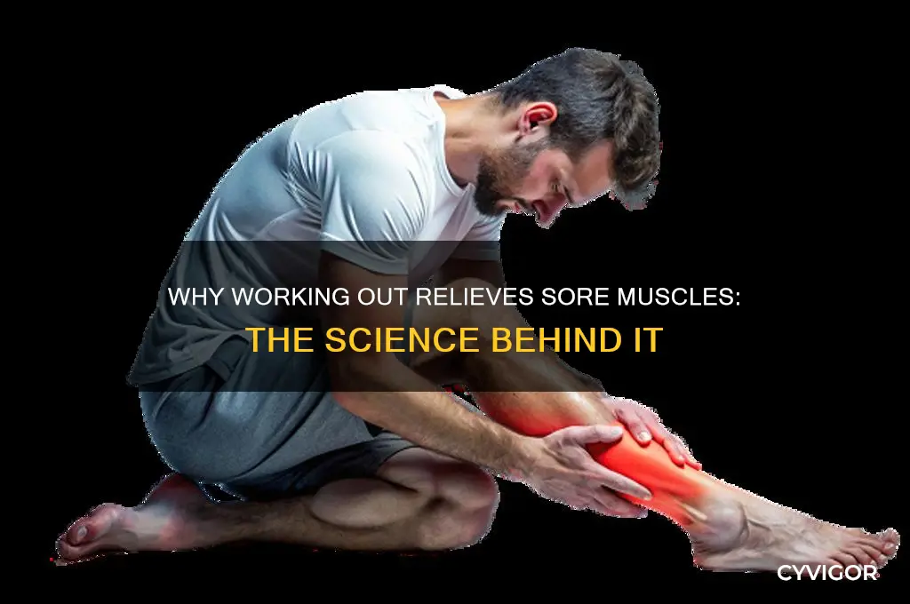 why do sore muscles feel better when i work out