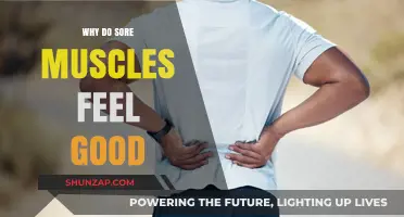 Why Sore Muscles Feel Good: Unraveling the Post-Workout Bliss