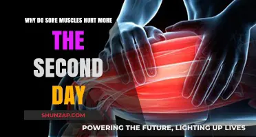 Delayed Muscle Soreness: Why Day Two Feels Worse Than Day One