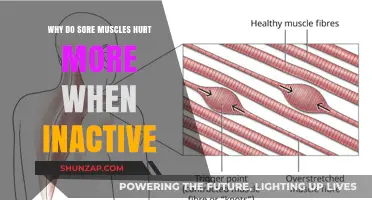 Why Inactive Muscles Ache More: Unraveling the Pain Puzzle
