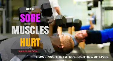 Understanding Muscle Soreness: Why Do Sore Muscles Hurt After Exercise?
