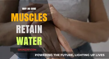 Why Sore Muscles Retain Water: Understanding Post-Workout Fluid Retention