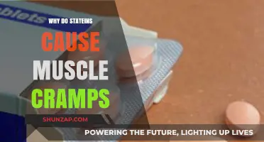 Understanding Statins: Unraveling the Link to Muscle Cramps and Pain