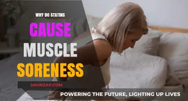 Statins and Muscle Pain: Unraveling the Mystery Behind Soreness