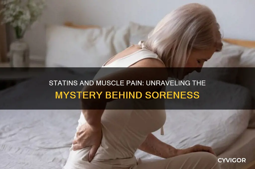 why do statins cause muscle soreness