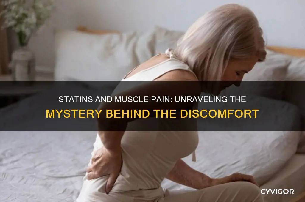 why do statins give you muscle pain