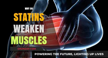 Statins' Muscle Weakness: What's the Connection?