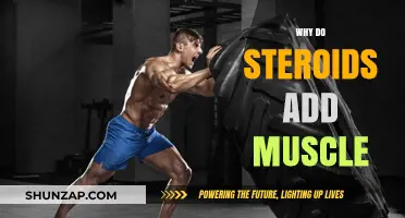 How Steroids Build Muscle: Unlocking the Science