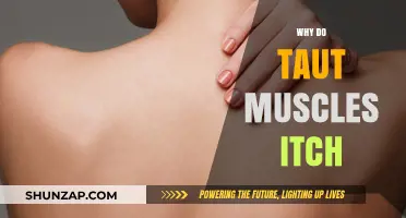Taut Muscles Itch: What's the Science?