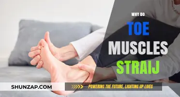 Toe Muscles: Why They Seem to Strain and Cramp