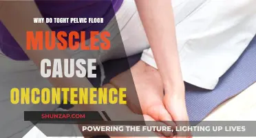 Tight Pelvic Floor Muscles: Surprising Link to Incontinence Explained