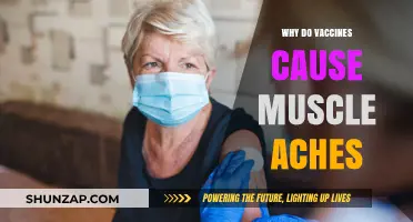 Understanding Vaccine Side Effects: Why Muscle Aches Occur After Vaccination