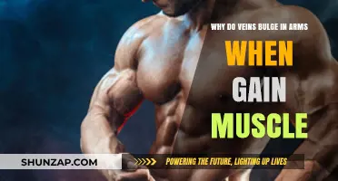 Muscle Growth and Vein Visibility: Why Arms Bulge with Strength