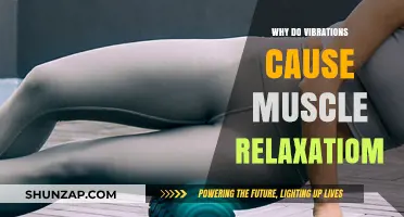 How Vibrations Trigger Muscle Relaxation: Science Behind the Soothing Effect