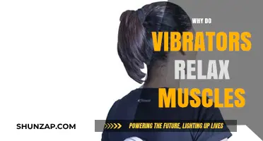 Vibrators and Muscle Relaxation: Unwinding Tension with Vibrational Therapy