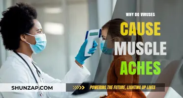 Understanding Viral Muscle Aches: Causes, Mechanisms, and Relief Strategies