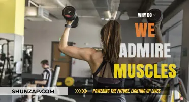 Muscle Power: Why We're Attracted to Strength