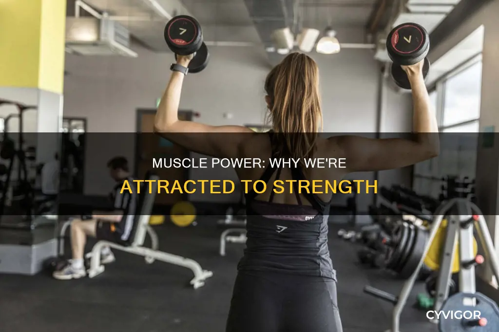 why do we admire muscles